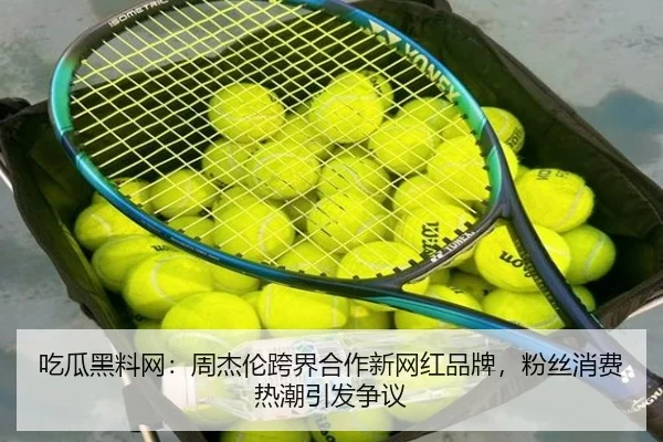 chi-gua-hei-liao-wang-zhou-jie-lun-kua-jie-he-zuo-xin-wang-hong-pin-pai-fen-si-xiao-fei-re-chao-yin-fa-zheng-yi-2-310.jpg